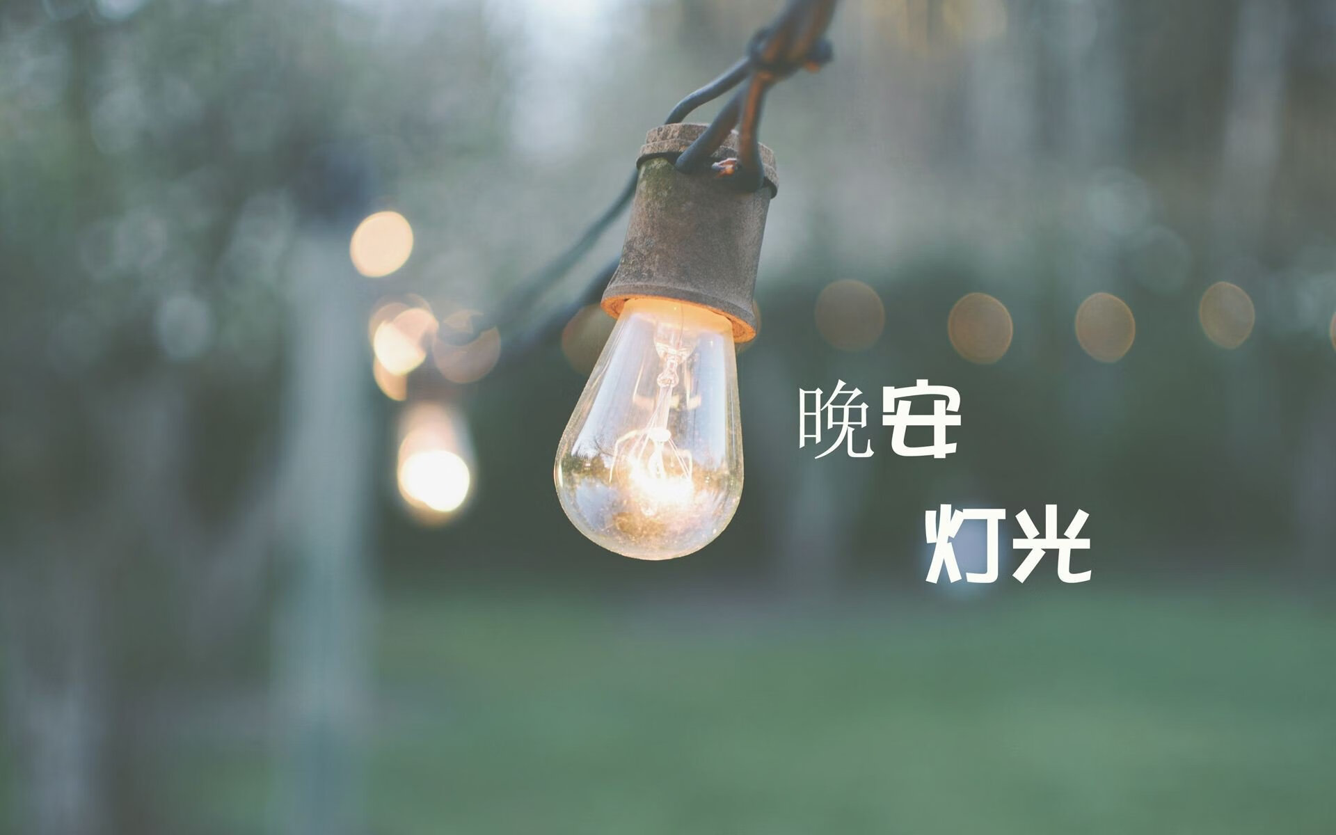 _森林狼迎来爆发,胜利稳住季后赛席位_,森林狼2021战绩