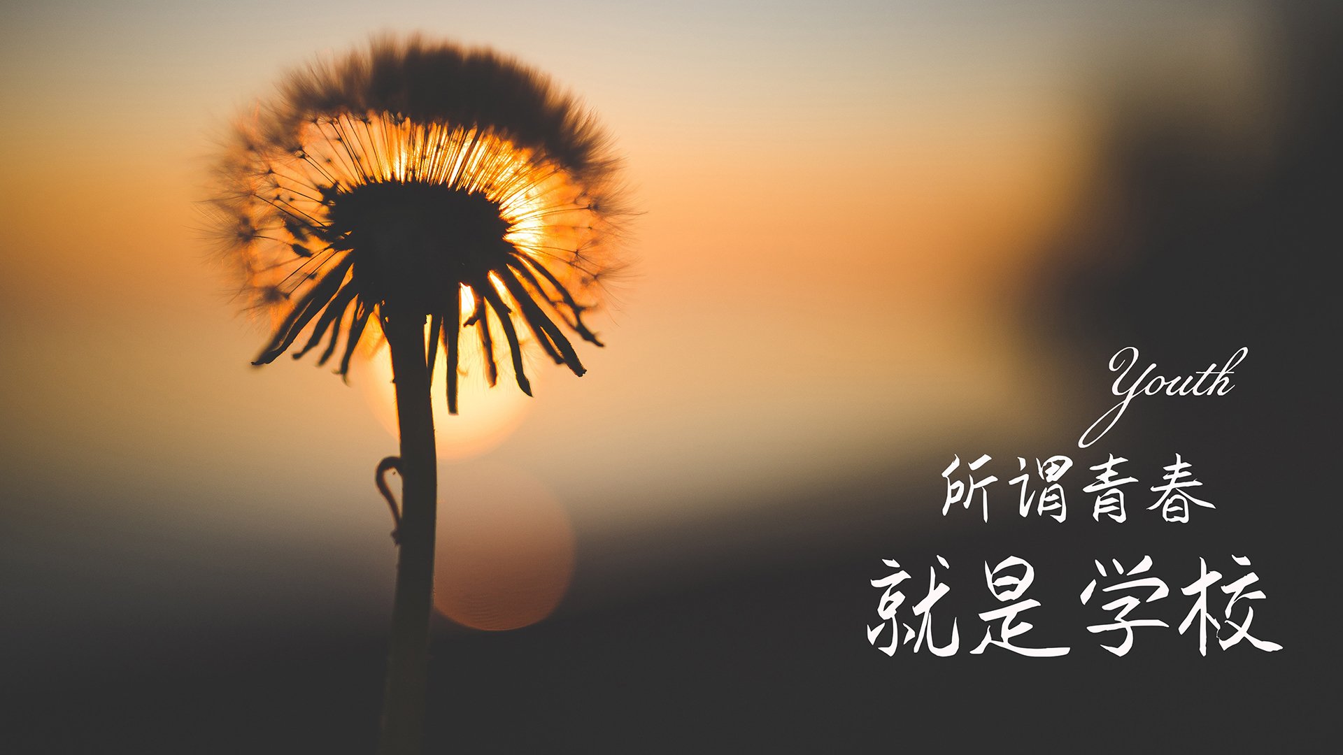 _森林狼连续获胜,士气爆棚追梦季后赛_,森林狼总决赛