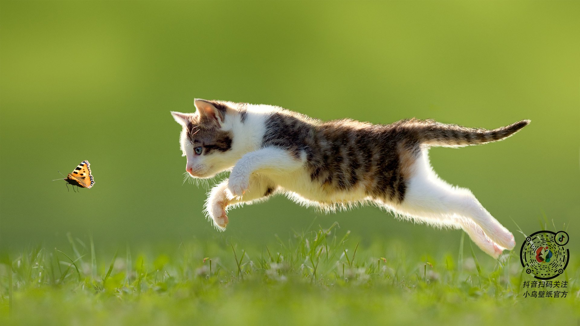 九游app官方下载-_绿色体育装备：环保理念引领潮流_，绿色环保为主题运动会